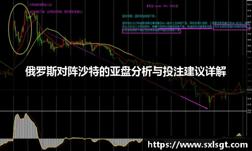 俄罗斯对阵沙特的亚盘分析与投注建议详解