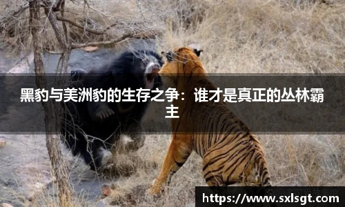 南宫NG28登录入口