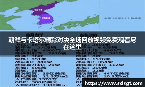 朝鲜与卡塔尔精彩对决全场回放视频免费观看尽在这里