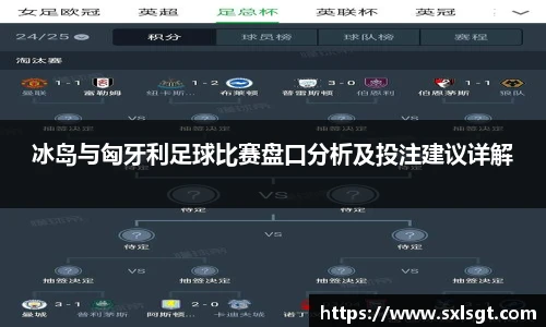 冰岛与匈牙利足球比赛盘口分析及投注建议详解