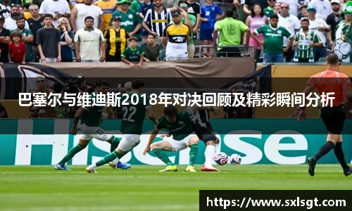 巴塞尔与维迪斯2018年对决回顾及精彩瞬间分析